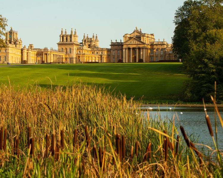 exterior shot of blenheim palace in autumn