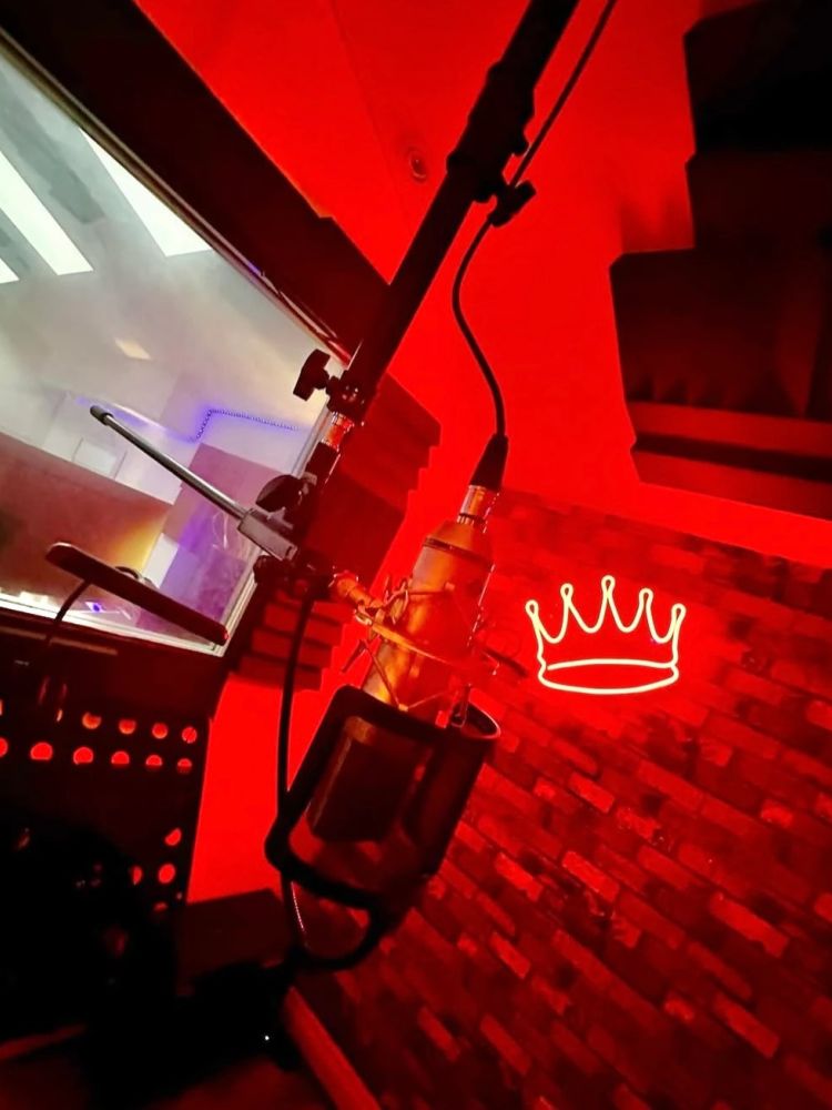 Microphone in recording studio