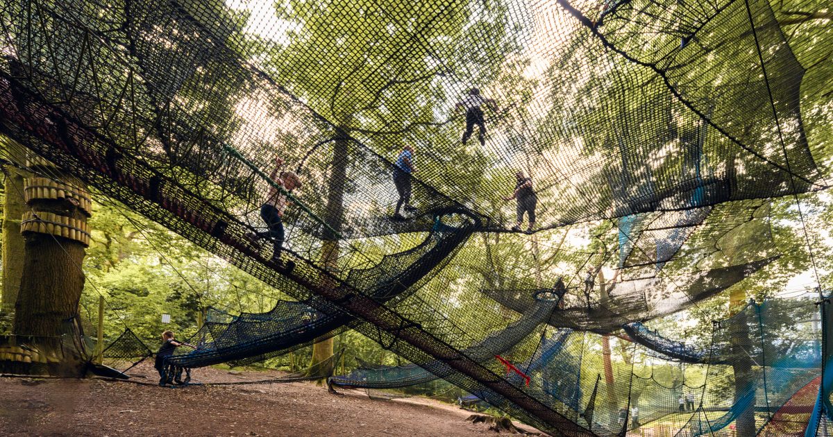 Zip World Treetop Nets Wales WonderDays