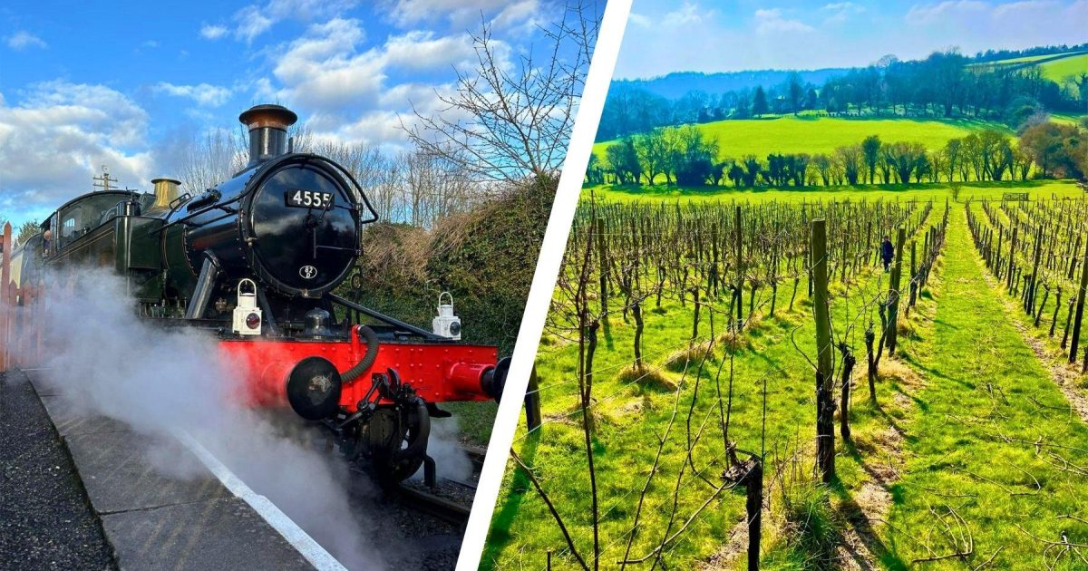 Steam Train Experience & English Vineyard Tour with Lunch | WonderDays